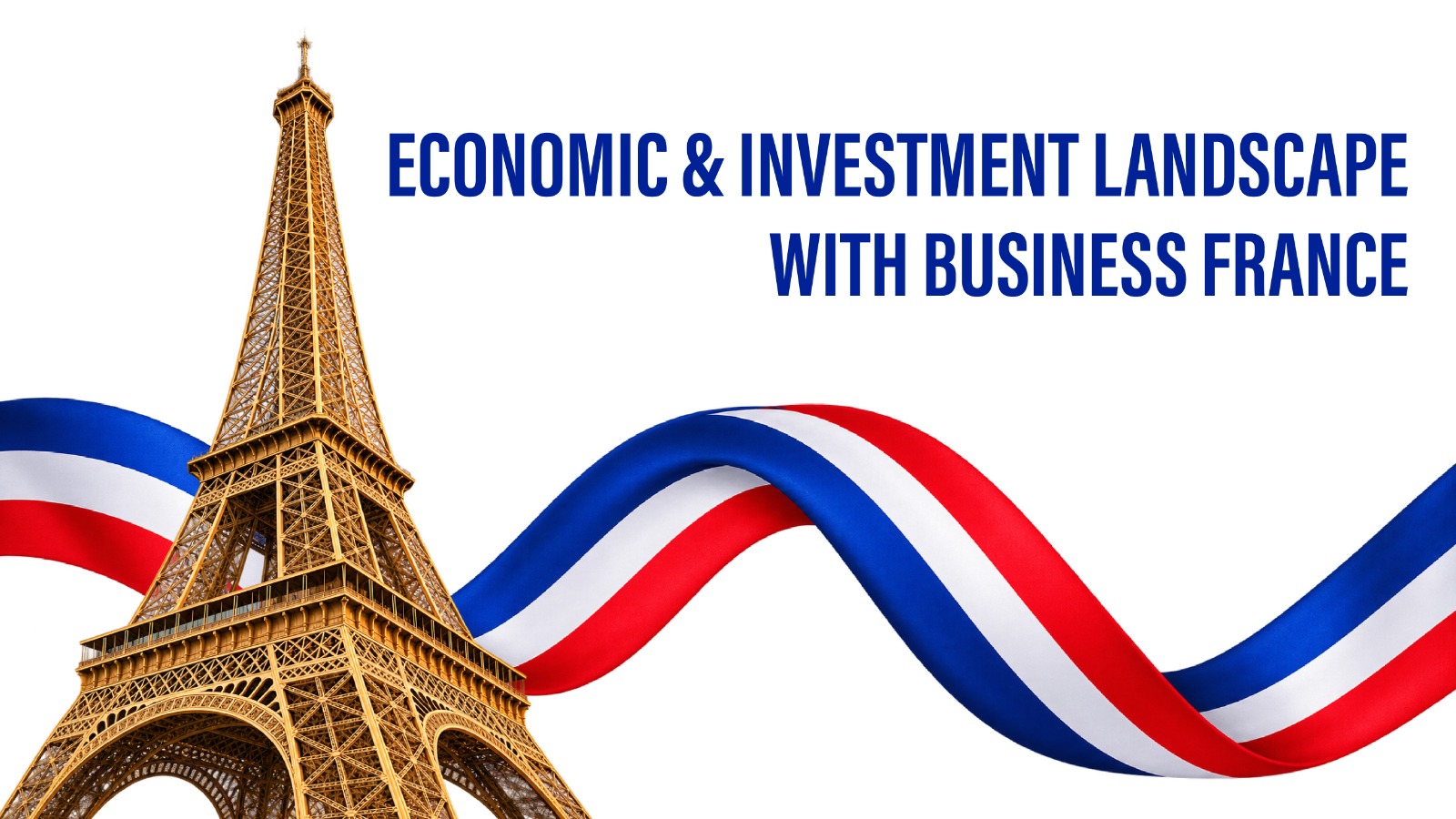 INVESTMENT LANDSCAPE WITH BUSINESS FRANCE